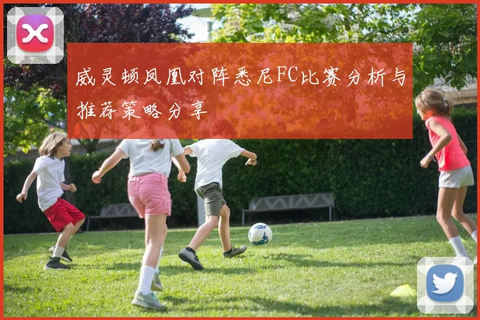 威灵顿凤凰对阵悉尼FC比赛分析与推荐策略分享